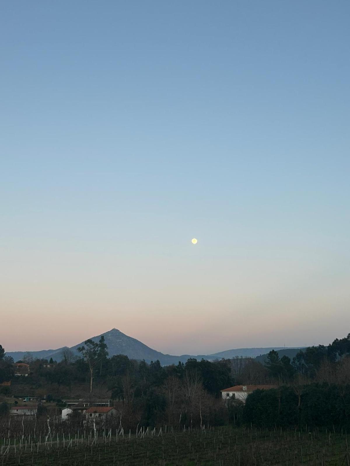 Quinta Da Lage E Enoturismo *