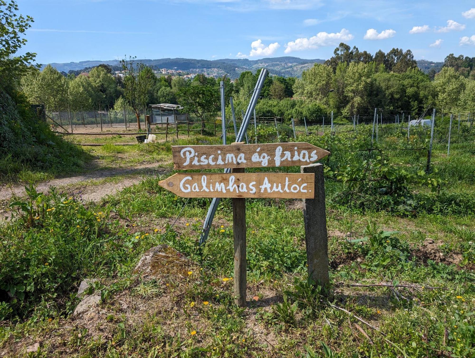Quinta Da Lage E Enoturismo Celorico De Basto